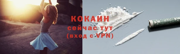 не бодяженный Новозыбков
