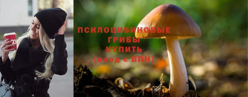 Галлюциногенные грибы MAGIC MUSHROOMS  что такое наркотик  Мамадыш 