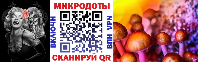 Псилоцибиновые грибы мухоморы  закладка  Мамадыш 